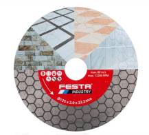 Kotouč diamantový 125mm FESTA INDUSTRY